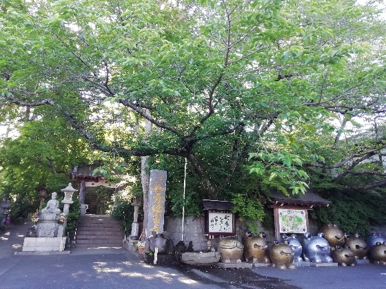 福岡県小郡市　かえる寺　入口　如意輪寺　写真　画像