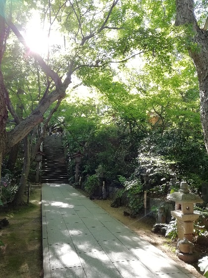 福岡県小郡市　かえる寺　如意輪寺　写真　画像　かえる　通路