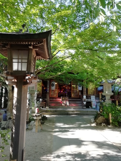 福岡県小郡市　かえる寺　如意輪寺　写真　画像　かえる　本堂