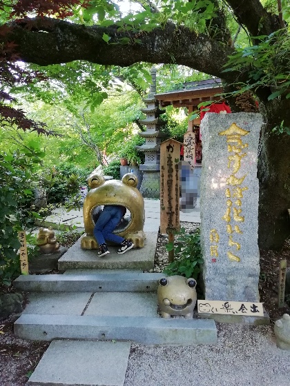 福岡県小郡市　かえる寺　如意輪寺　写真　画像　かえる　くぐりかえる