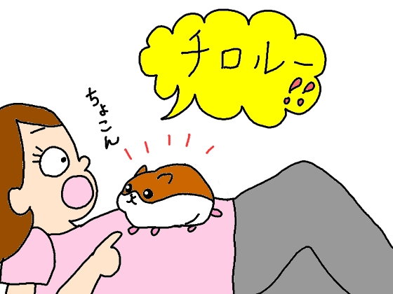 ハムスター　イラスト　かわいい　馴れてる　おなかの上　乗る　画像