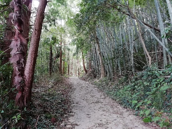 十坊山登山　中村登山口　登山　福岡県　画像　写真　背振