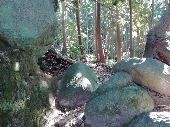 十坊山登山　中村登山口　登山　福岡県　画像　写真　背振　岩