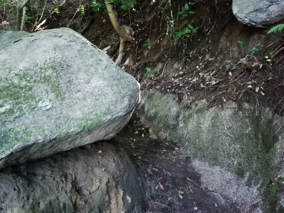 十坊山登山　中村登山口　登山　福岡県　画像　写真　背振　森　森林　岩