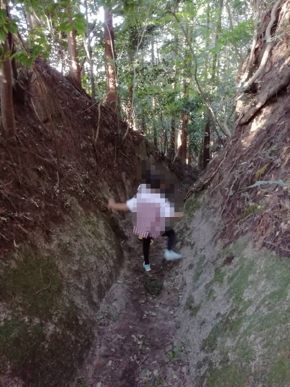 十坊山登山　中村登山口　登山　福岡県　画像　写真　背振　森　森林　岩