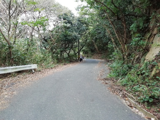 立石山登山　立石山　登山　写真　画像　　糸島　山道　海　車道