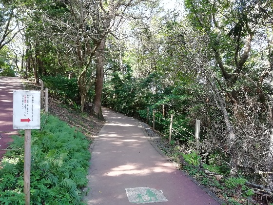 鏡山展望台　遊歩道　佐賀県　唐津市　写真　画像　