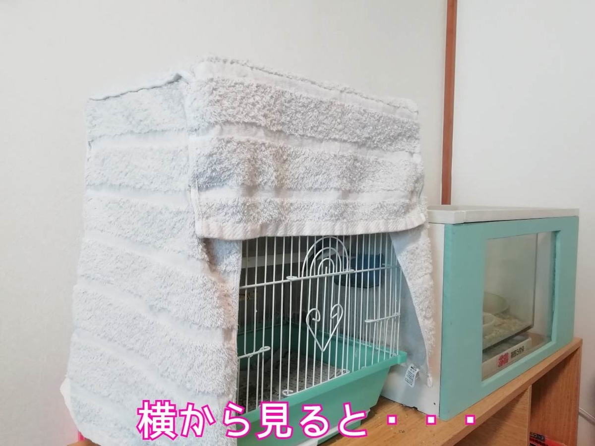 文鳥の防寒対策 Youtube投稿しました ハムスター編 Mecchiのほのぼの生活