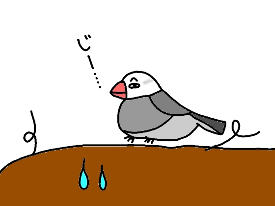 イラスト　おもしろい　漫画　かわいい　画像　文鳥