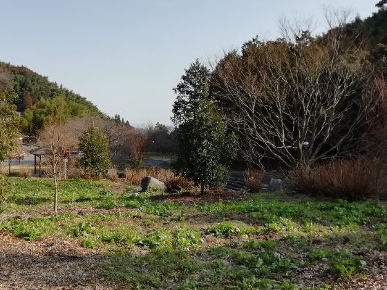 冬　田舎　景色　山　画像　写真　のどか