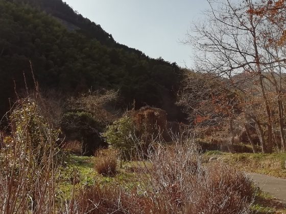 冬　田舎　山　のどか　写真　画像　癒やし　枯れ葉