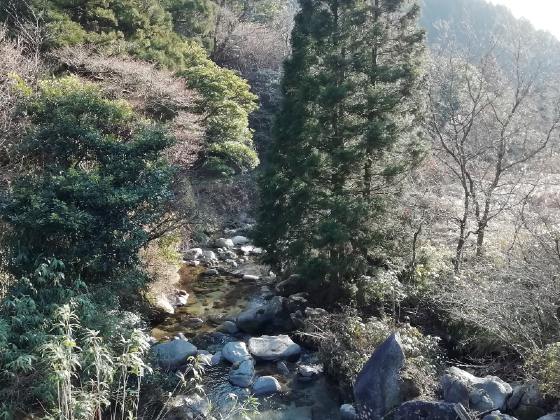 冬　山　のどが　写真　画像　川　癒やし　美しい　