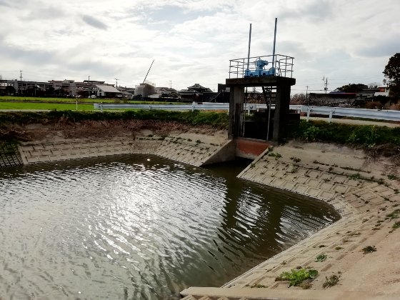 釣り　クリーク　写真　画像　河川