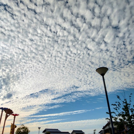 夕空　空　鱗雲　写真　画像