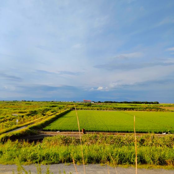 田園風景　写真　画像　田舎　癒やし　緑