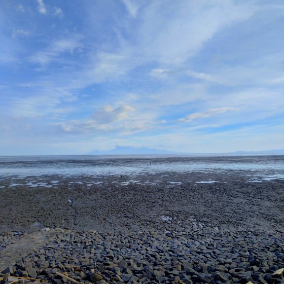 有明海　干潟　写真　画像　海