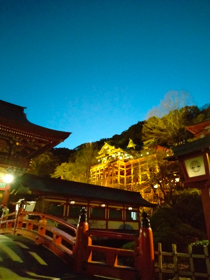 祐徳稲荷神社　佐賀　写真　画像　ライトアップ