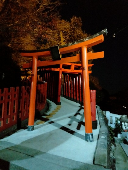 祐徳稲荷神社　佐賀　写真　画像　ライトアップ　本殿　鳥居