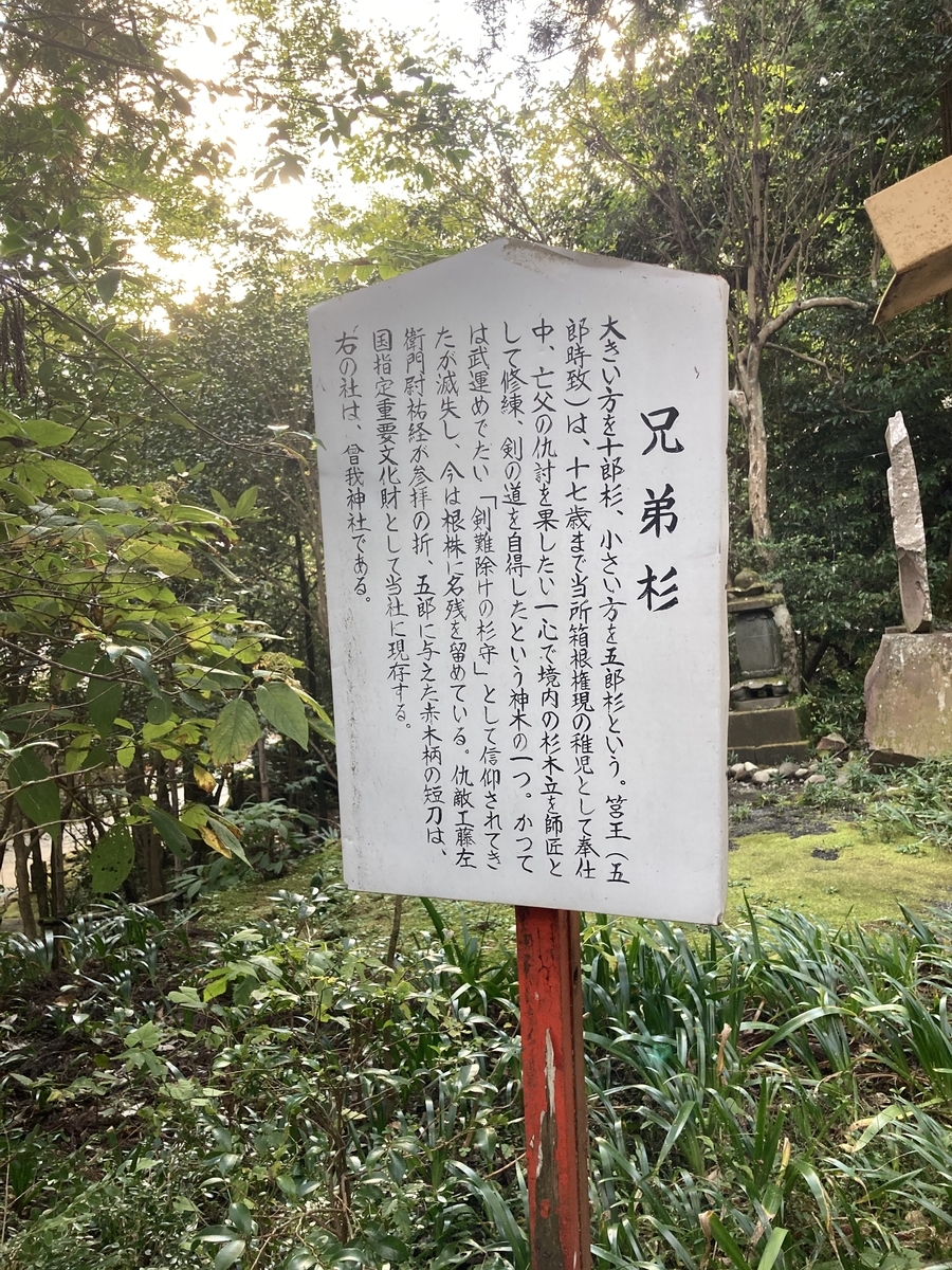 曽我神社の兄弟杉の解説板