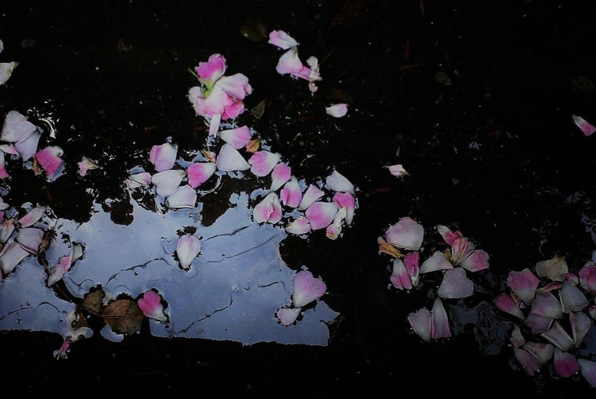 f:id:mememoka:20210621210703j:plain