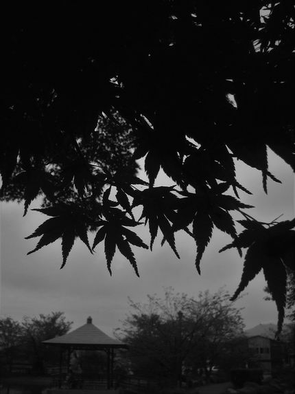 f:id:mememoka:20210918161255j:plain