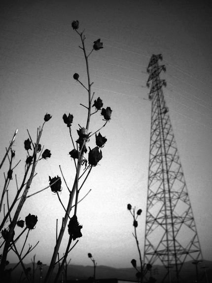 f:id:mememoka:20211119190636j:plain