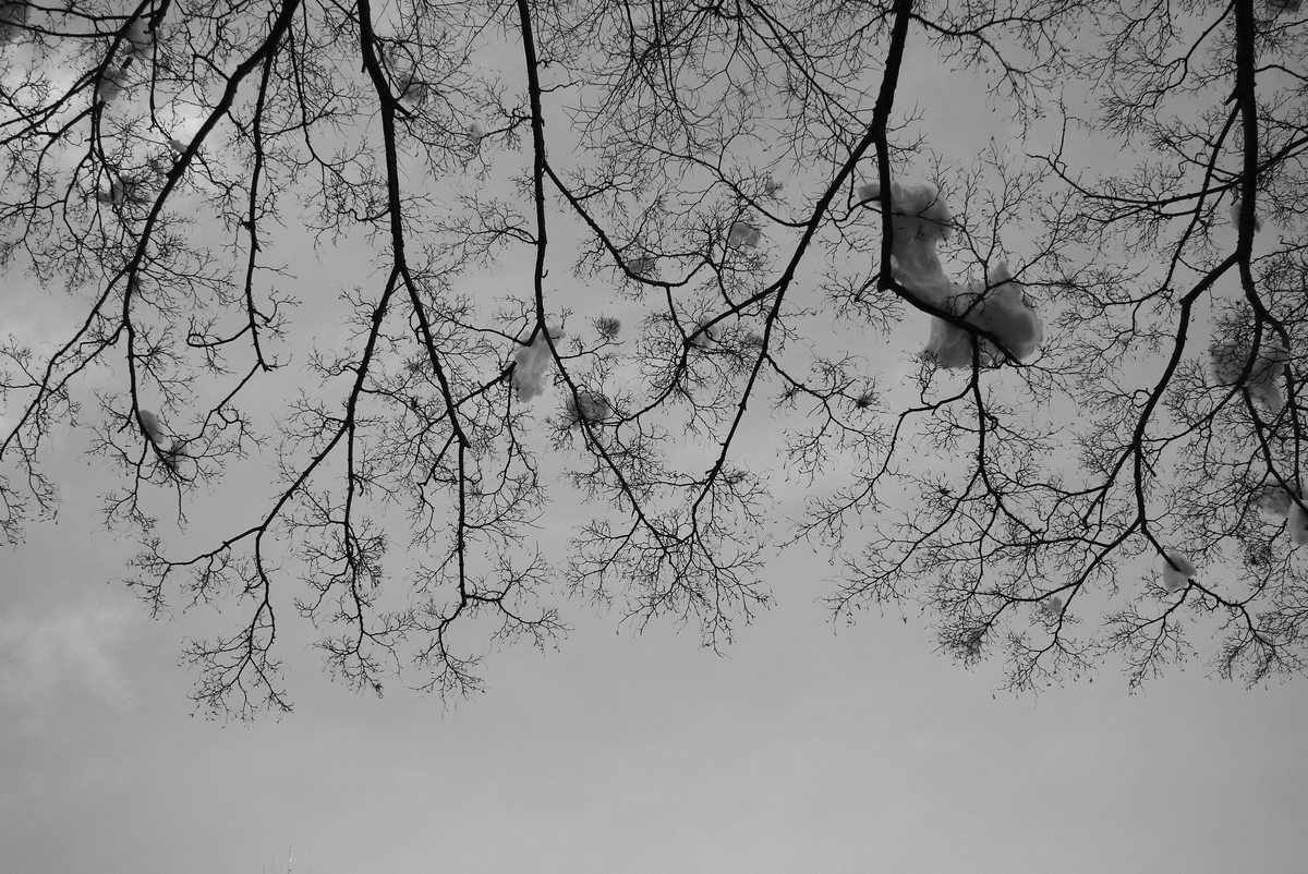 f:id:mememoka:20220121195423j:plain
