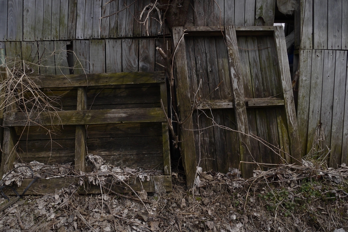 f:id:mememoka:20220314202415j:plain