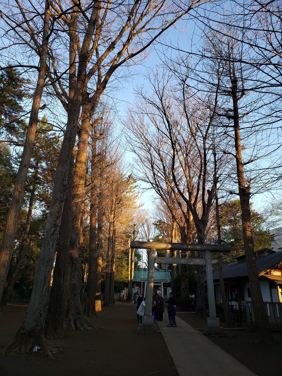 f:id:memo8:20200101160011j:plain