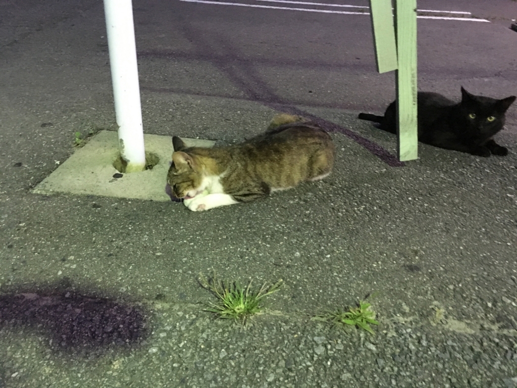 f:id:memomemokun:20180718183951j:plain f:id:memomemokun:20180718183951j:plain