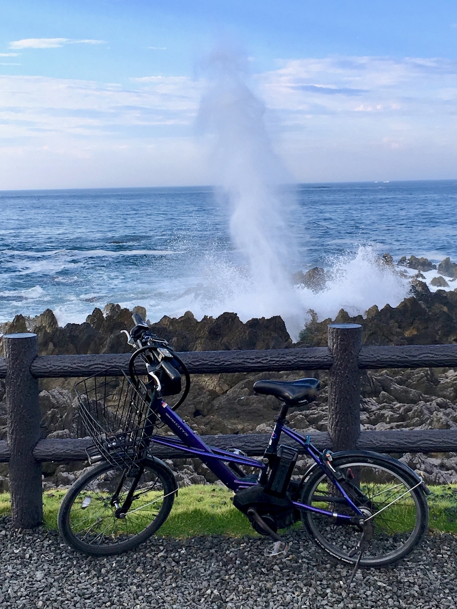 f:id:memomemokun:20190816213608j:plain 岩井崎の潮吹き岩