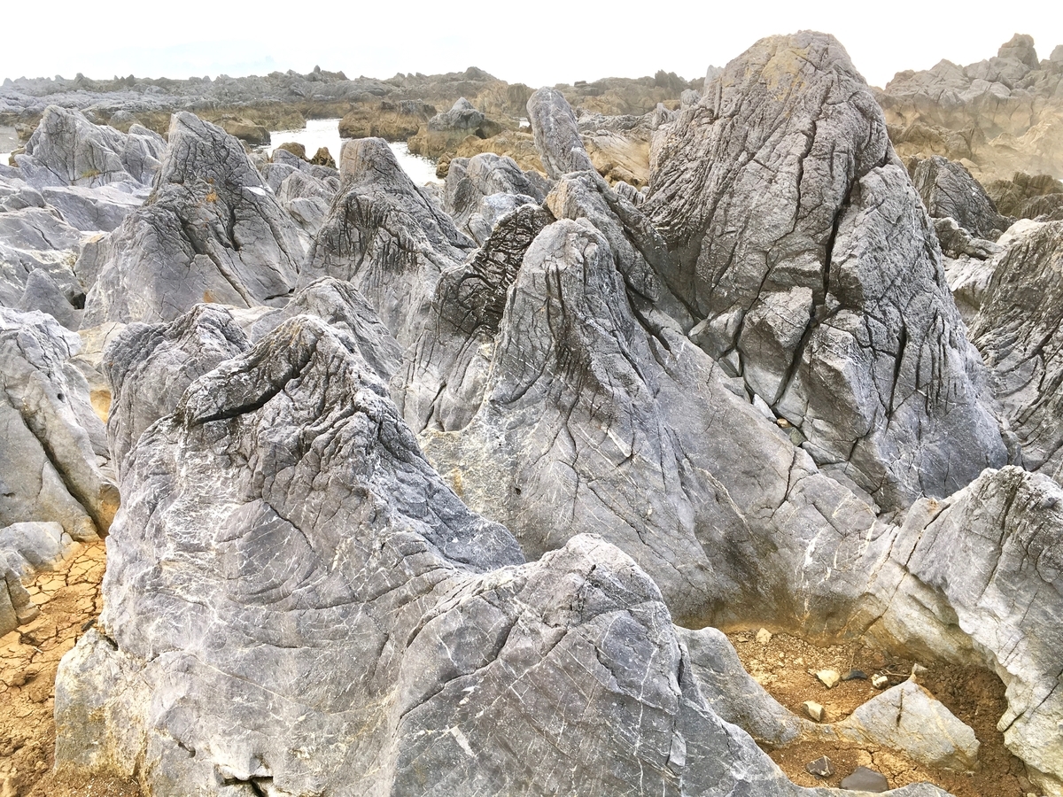 岩井崎の石灰岩地帯