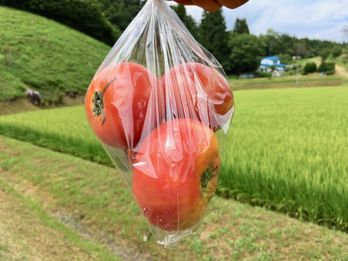 産直トマト3個100円