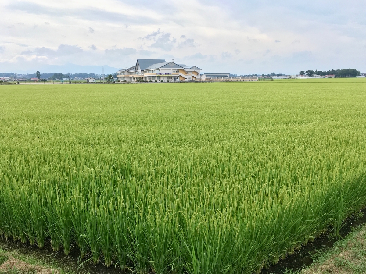 水沢 秋の田園風景