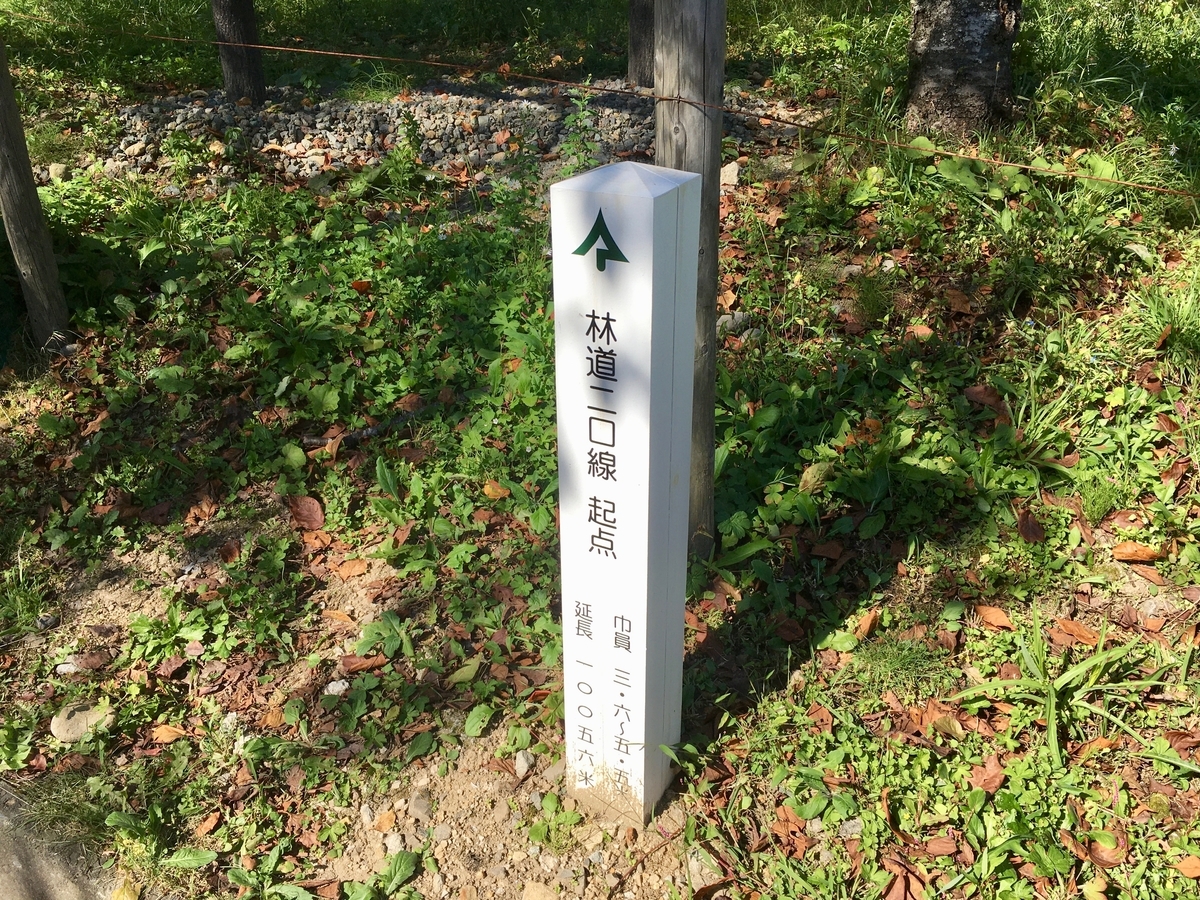 二口林道起点