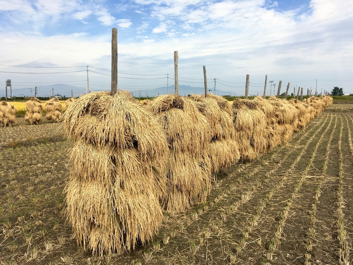 f:id:memomemokun:20191003222156j:plain