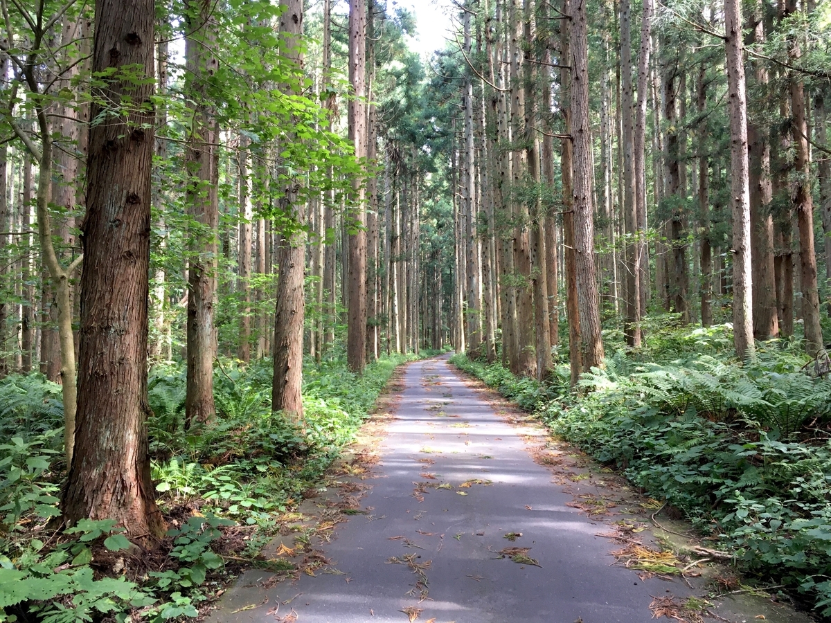 f:id:memomemokun:20191003222746j:plain