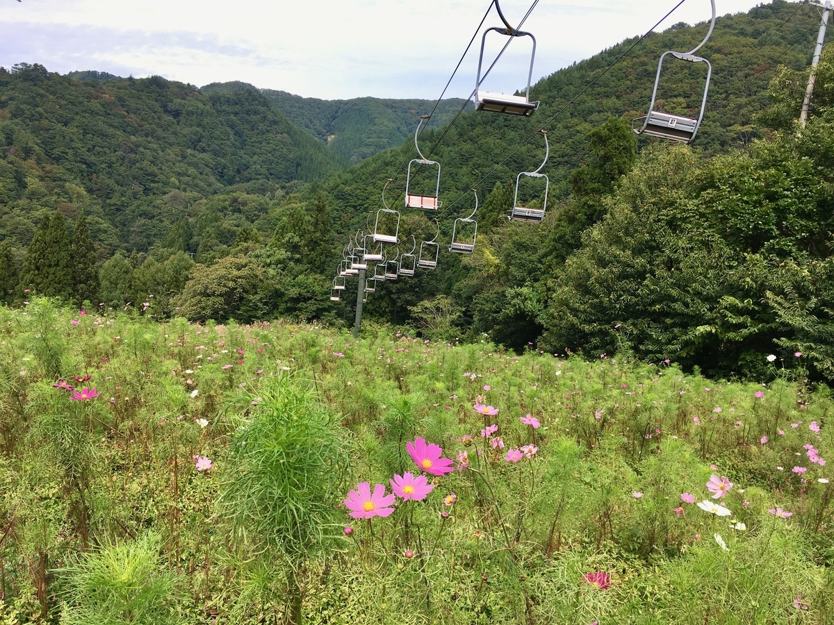 f:id:memomemokun:20191003224816j:plain