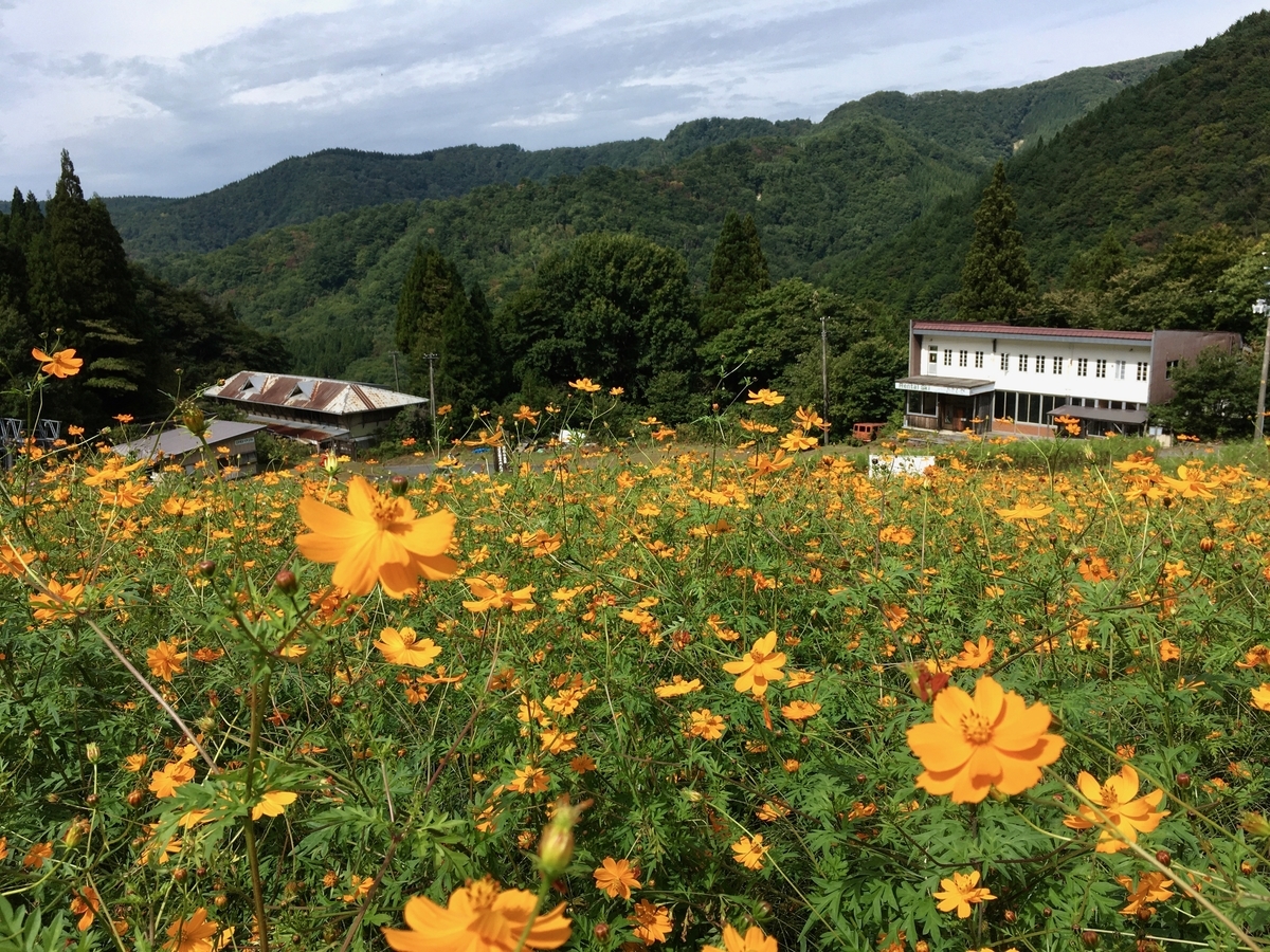 f:id:memomemokun:20191003225617j:plain