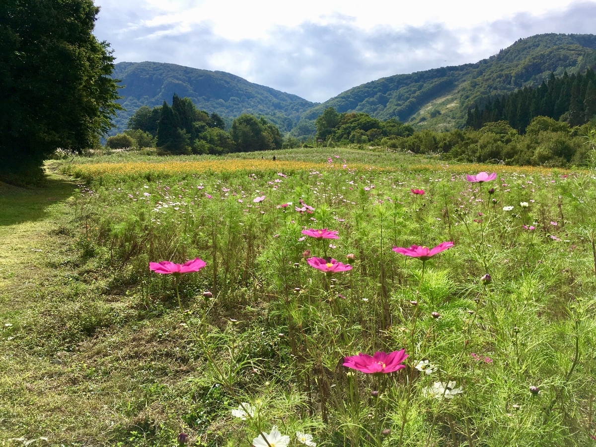 f:id:memomemokun:20191003230204j:plain