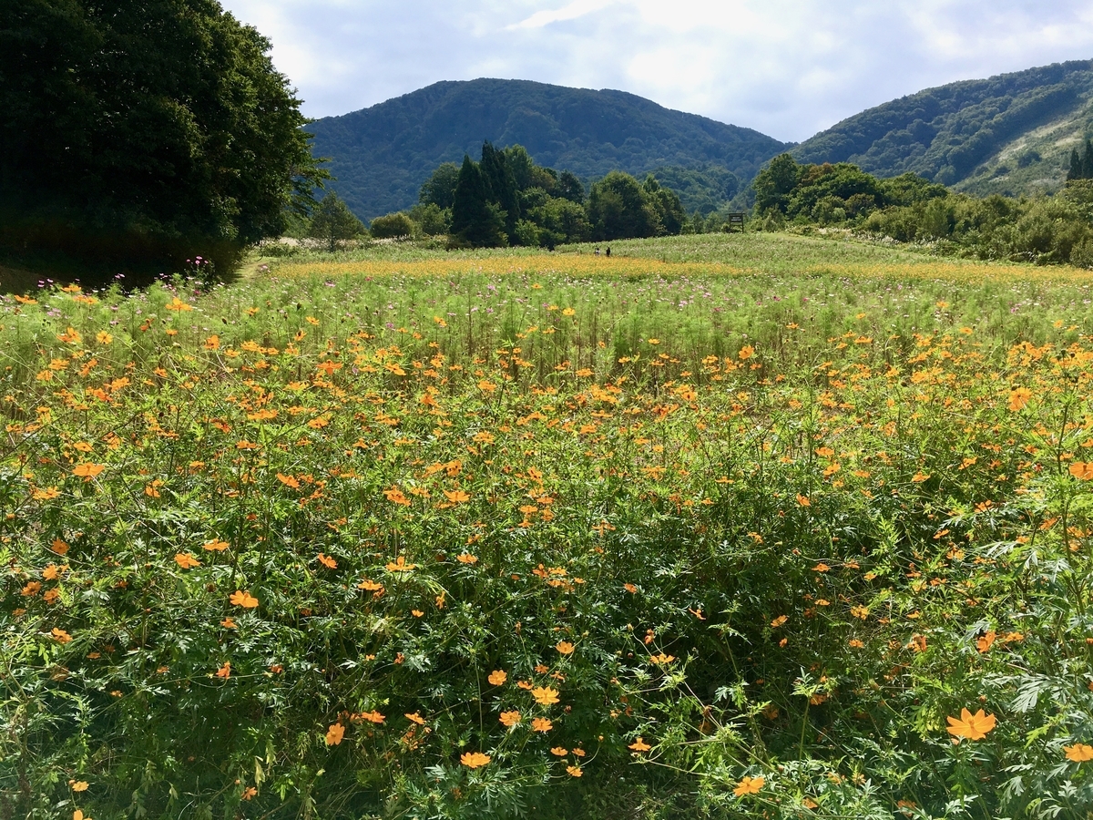 f:id:memomemokun:20191003230445j:plain