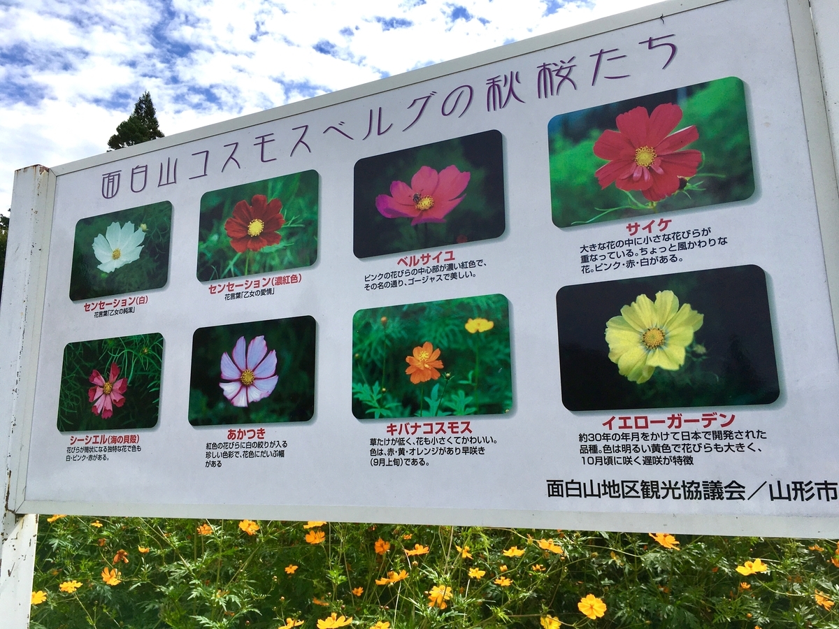 f:id:memomemokun:20191003230623j:plain