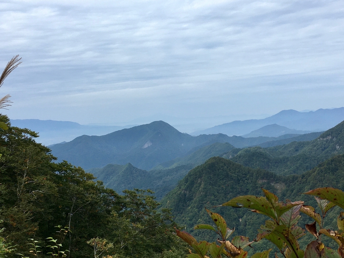 f:id:memomemokun:20191003232306j:plain