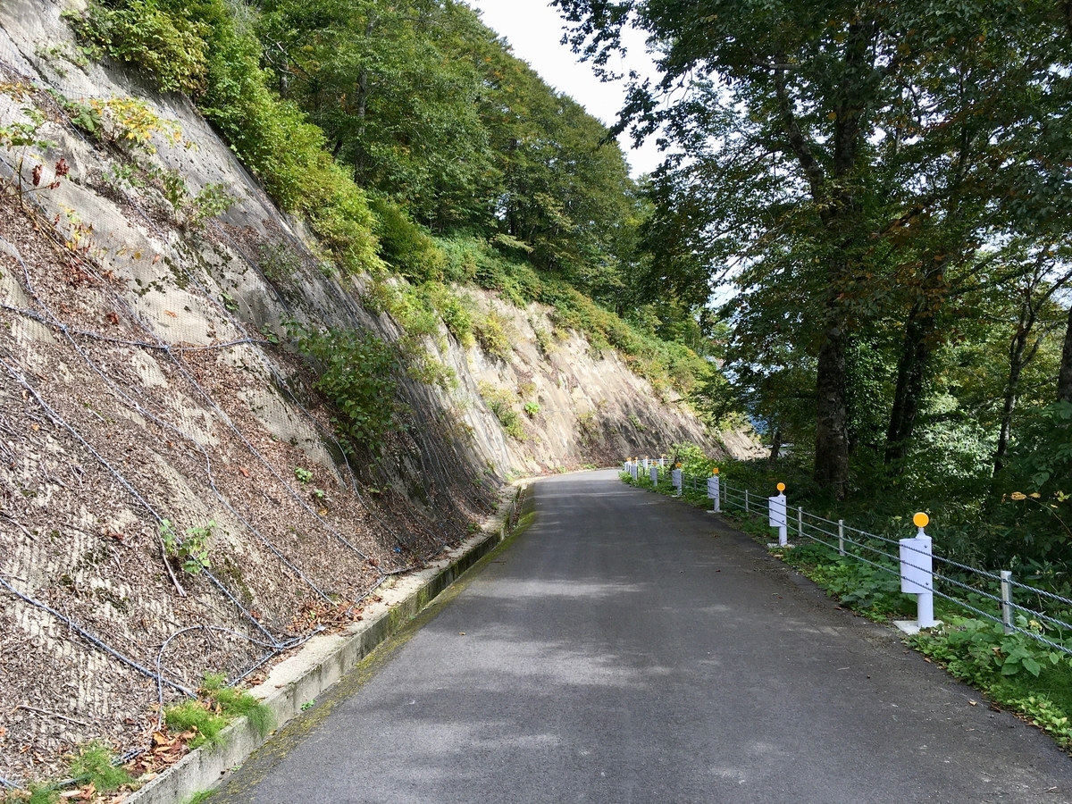 f:id:memomemokun:20191003232446j:plain