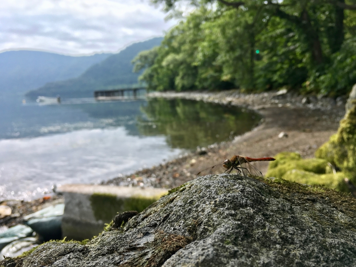 十和田湖畔・奥入瀬渓流を電動アシスト自転車で走ってみました。 ヤマハPAS CITYXで気ままに電チャリライフ