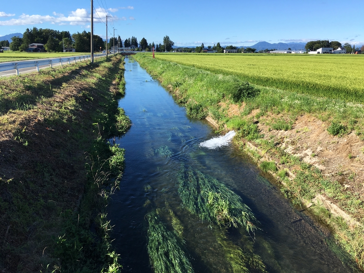 f:id:memomemokun:20191019130416j:plain f:id:memomemokun:20191019130416j:plain