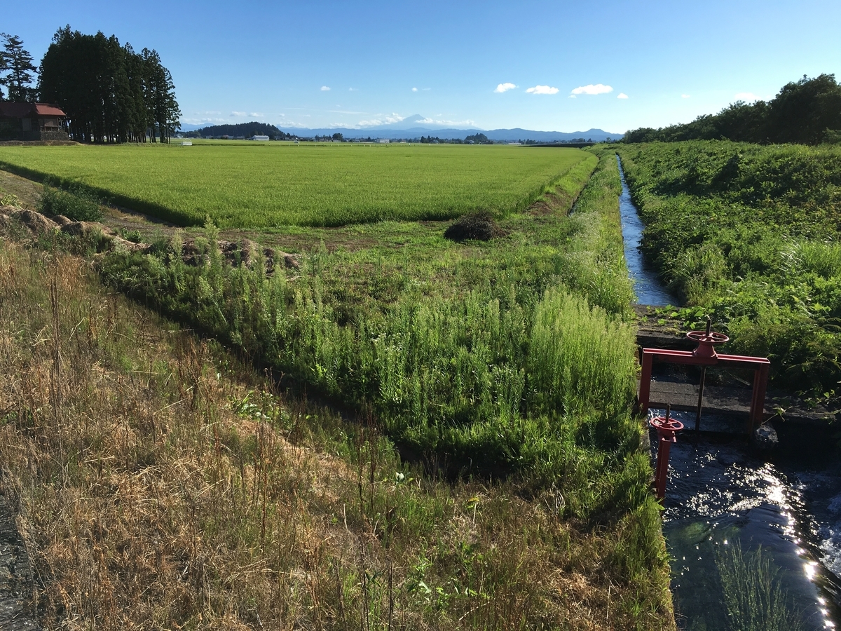 f:id:memomemokun:20191019131633j:plain f:id:memomemokun:20191019131633j:plain