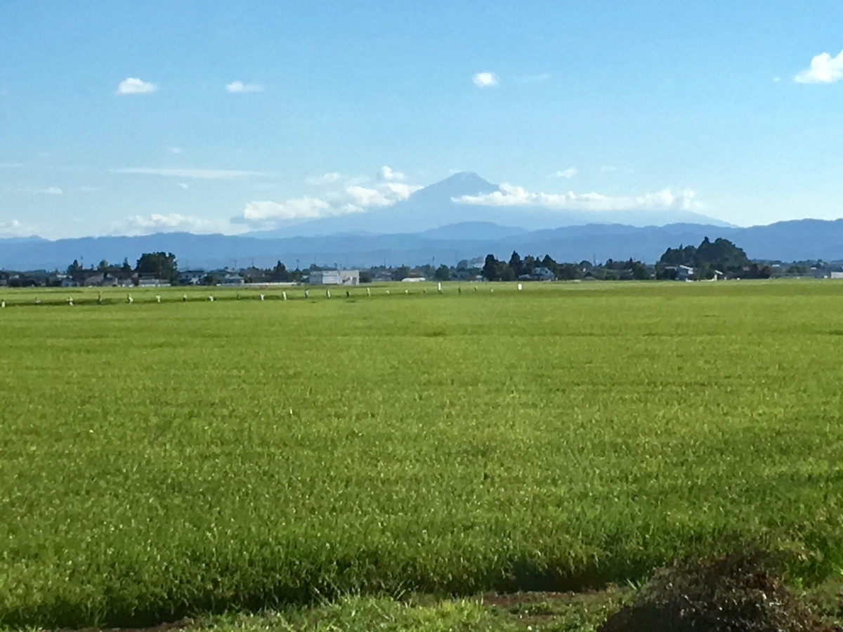 大仙市から望む鳥海山