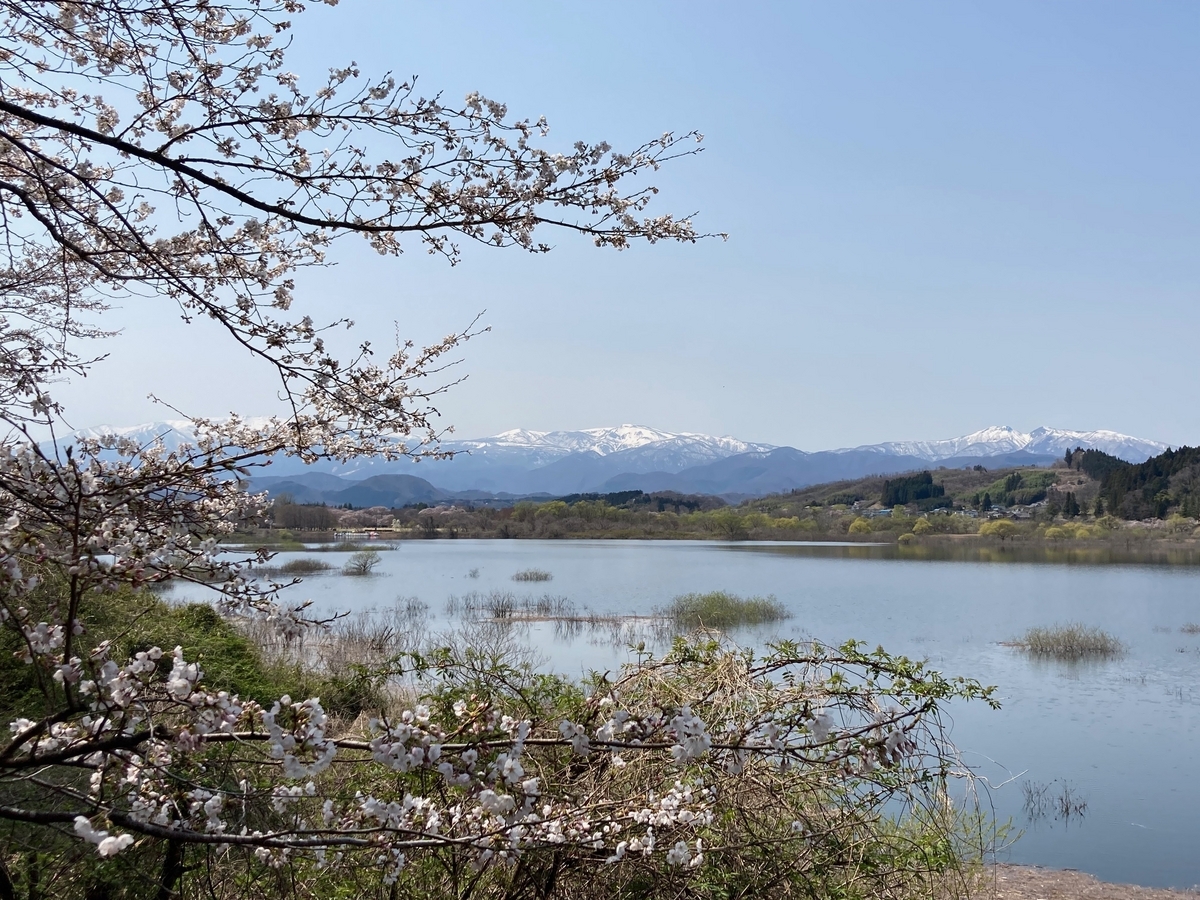 釜房湖の水没林と蔵王連峰