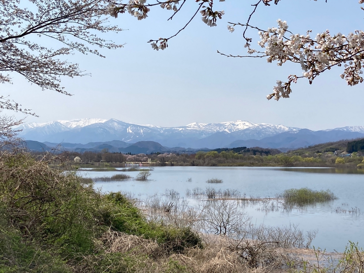 釜房湖の水没林と蔵王連峰